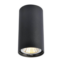 Потолочный светильник Arte Lamp A1516PL-1BK от интернет магазина Elvan.ru