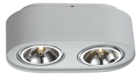 Потолочный светильник Arte Lamp Cliff A5643PL-2WH от интернет магазина Elvan.ru