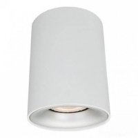 Потолочный светильник Arte Lamp Torre A1532PL-1WH от интернет магазина Elvan.ru