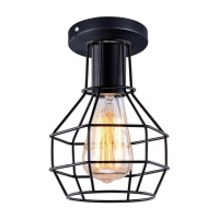 Потолочный светильник Arte Lamp A1109PL-1BK от интернет магазина Elvan.ru