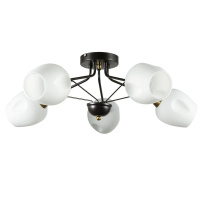 Потолочная люстра Arte Lamp Brighton A2706PL-5CK от интернет магазина Elvan.ru