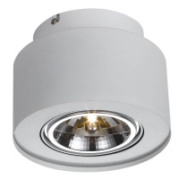 Потолочный светильник Arte Lamp Cliff A5643PL-1WH от интернет магазина Elvan.ru