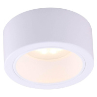 Потолочный светильник Arte Lamp Effetto A5553PL-1WH от интернет магазина Elvan.ru