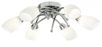 Потолочная люстра Arte Lamp Opal A8186PL-6CC от интернет магазина Elvan.ru