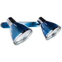 Спот Arte Lamp 47 A2215AP-2BL от интернет магазина Elvan.ru