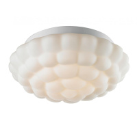 Потолочный светильник Arte Lamp Aqua A5130PL-2WH от интернет магазина Elvan.ru