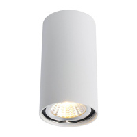 Потолочный светильник Arte Lamp A1516PL-1WH от интернет магазина Elvan.ru