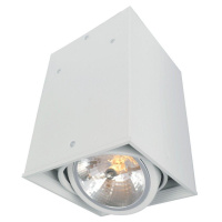 Потолочный светильник Arte Lamp Cardani A5936PL-1WH от интернет магазина Elvan.ru