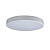 10002/24 White Потолочный светильник LOFT IT Axel