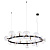 Подвесная люстра Arte Lamp Vincent A7790SP-24BK