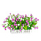 203-004-Purple (Тюльпан) от интернет магазина Elvan.ru