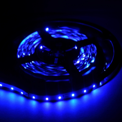 3528Е 4,8W 60LED (5м.) синяя