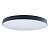 10002/48 Black Потолочный светильник LOFT IT Axel