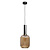 2071-A+BL Подвесной светильник LOFT IT Iris