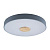 10003/24 Grey Потолочный светильник LOFT IT Axel