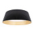 10224 Black Потолочный светильник LOFT IT Evans