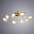 Потолочная люстра Arte Lamp MUGHETTO