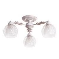 Потолочная люстра Arte Lamp MALINA