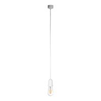 10091 Подвесной светильник LOFT IT Sherwood