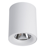 Точечный накладной светильник Arte Lamp FACILE A5112PL-1WH от интернет магазина Elvan.ru