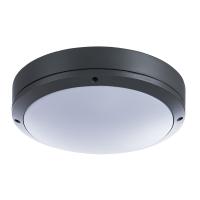 Уличный потолочный светильник Arte Lamp CITY A8154PF-2GY