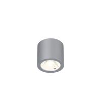 2808-1C, потолочный светильник, D65xH60, 1xLEDx7W, 560LM, 4000K, included