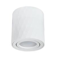 Точечный накладной светильник Arte Lamp FANG