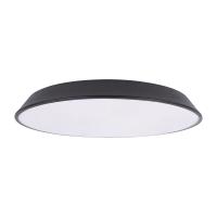 10226 Black Потолочный светильник LOFT IT Brim