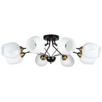 Потолочная люстра Arte Lamp BRIGHTON A2706PL-8CK
