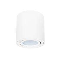 Точечный накладной светильник Arte Lamp BEID A1513PL-1WH
