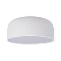 10201/350 White Потолочный светильник LOFT IT Axel