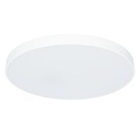 Потолочный светильник Arte Lamp ARENA A2671PL-1WH