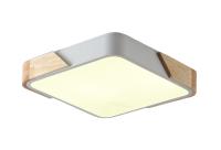 Светильник ZORTES ALBERRO ZRS.01285.60, Мощность - 60Вт, Тип лампы: LED, В - 50мм / Д - 600мм / Ш - 600мм