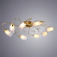 Потолочная люстра Arte Lamp MUGHETTO