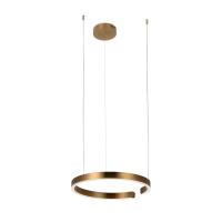 10013M Подвесной светильник LOFT IT Ring