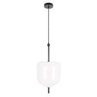 10223/D White Подвесной светильник LOFT IT Venice