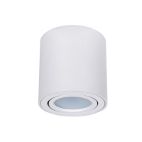 Потолочный светильник Arte Lamp Beid A1513PL-1WH от интернет магазина Elvan.ru