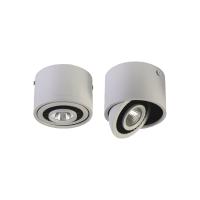1775-1C, потолочный светильник, D87xH60, 1xLEDx7W, AC:100-240V, 560LM, RA>80, IP21, 560LM, 4000K, included