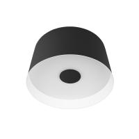 10360S Black Потолочный светильник LOFT IT Duo