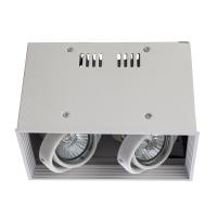 Точечный накладной светильник Arte Lamp CARDANI PICCOLO A5942PL-2WH