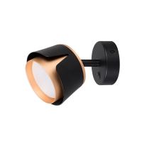 Спот Arte Lamp AMAKS