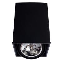 Точечный накладной светильник Arte Lamp CARDANI GRANDE