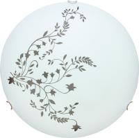 Светильник Arte Lamp ORNAMENT A3820PL-2CC