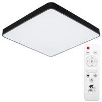 Потолочный светильник Arte Lamp SCENA A2669PL-1BK