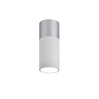 3071-1C, потолочный светильник, D50xH139, LEDx5W, 350LM, 4000K, IP20, included