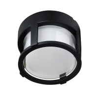 Уличный потолочный светильник Arte Lamp ULYSSES A6206PF-1BK от интернет магазина Elvan.ru