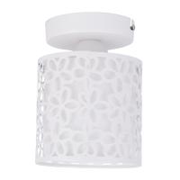 Потолочный светильник Arte Lamp TRAFORATO A8349PL-1WH