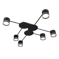 Потолочная люстра Arte Lamp LEGACY