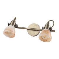 Спот Arte Lamp TULIP A9581AP-2AB от интернет магазина Elvan.ru