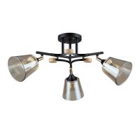 Потолочная люстра Arte Lamp GLASSY